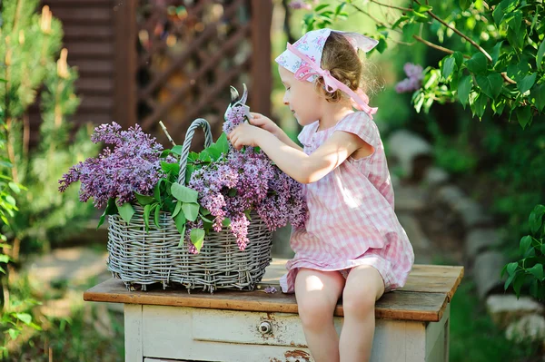 Adorable child girl in pink plaid dress cutting lilacs with secateurs in sunny spring garden