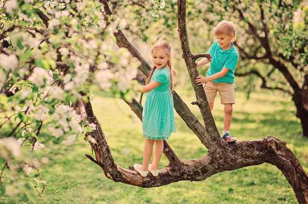 Happy brother and sister in blooming garden