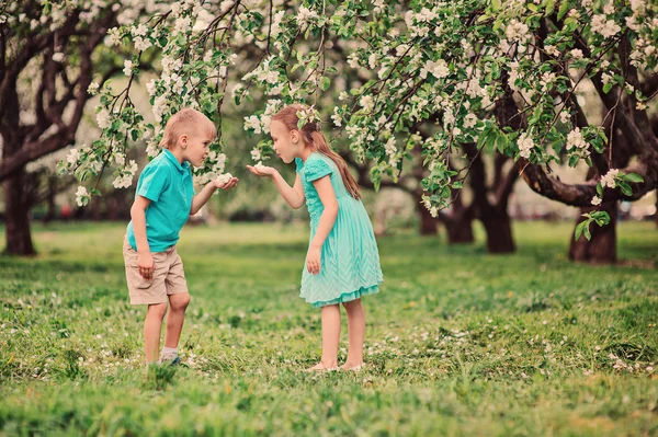 Happy brother and sister playing in spring apple blooming garden
