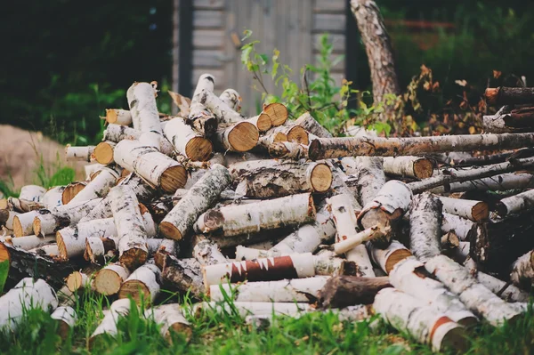 Stack of fire wood cut of birch in summer, nature and forest care concept, rural scene