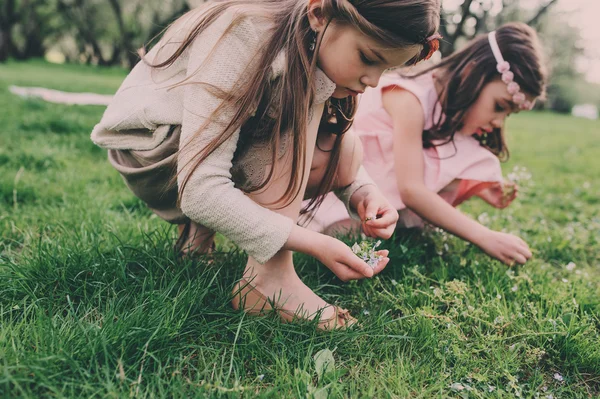 Two happy little girlfriends picking flowers in spring garden. Sisters spending time together outdoor. Seasonal activities.