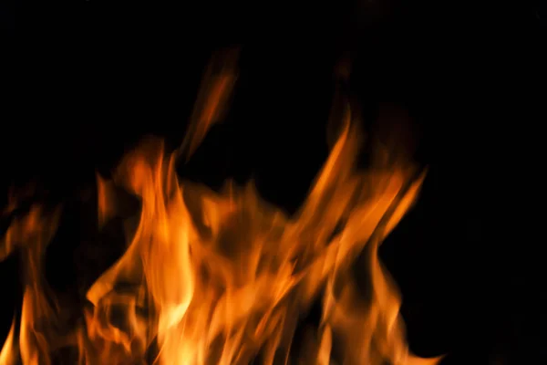 Fire flames on a black background. Blaze fire flame texture back