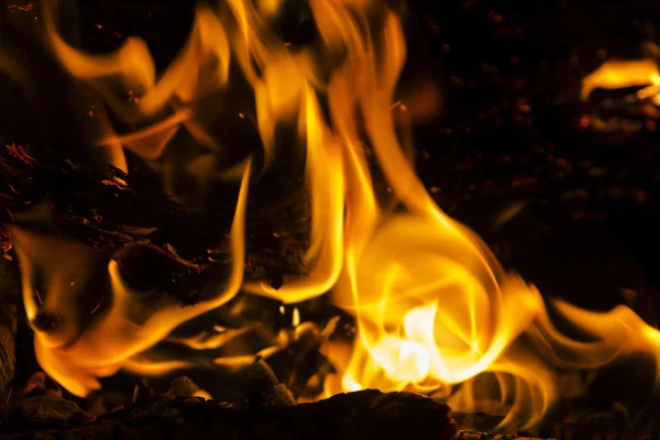 Fire flames on a black background. Blaze fire flame texture back