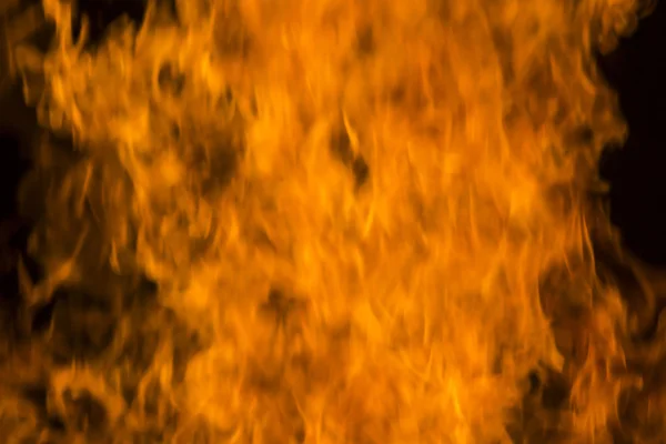 Fire flames on a black background. Blaze fire flame texture back