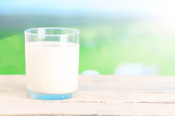 A glass of fresh milk on a white wooden table in the meadow.