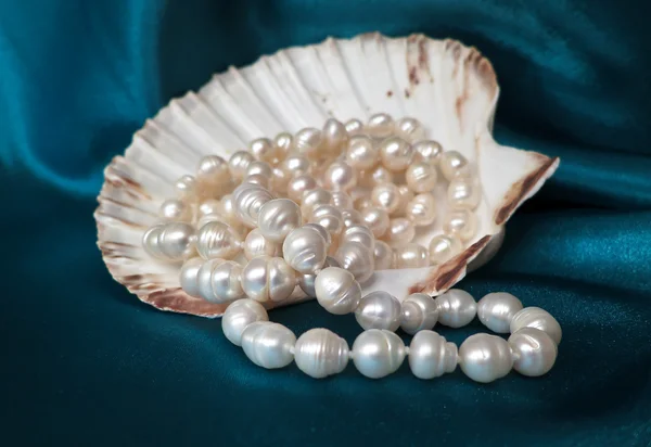 Pearl necklace in seashell on a blue background