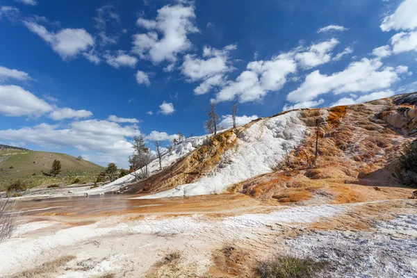 Mammoth Hot Springs, Yellowstone, Wyoming, USA