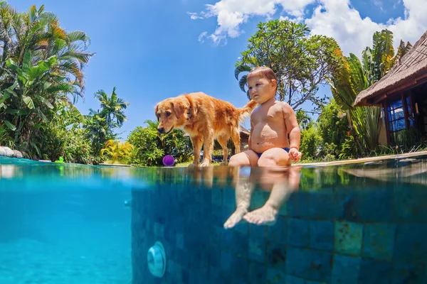 Little child swim with dog in blue swimming pool