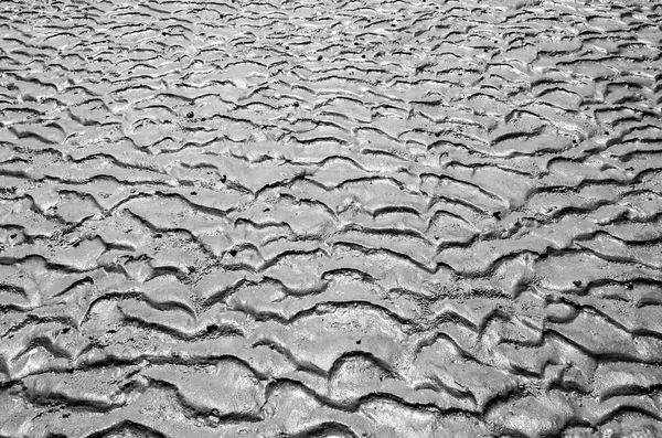 Low Tide Mud Flats
