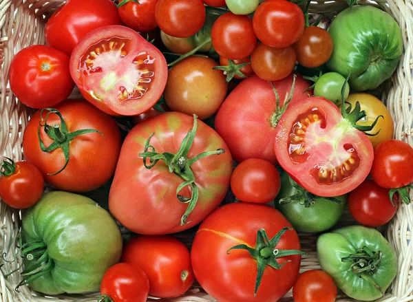 Fresh red and green tomatoes in a basket