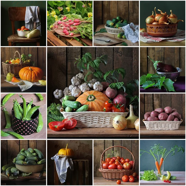 Collage from still lifes with vegetables. Vegetable background.
