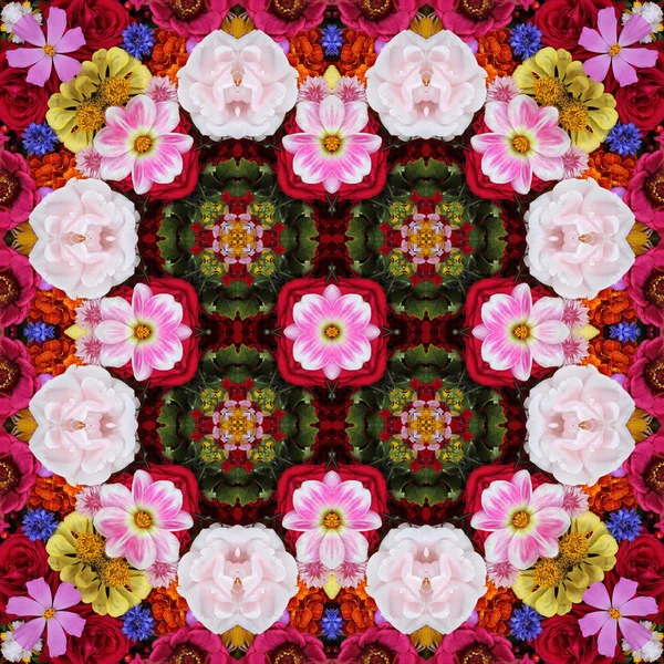 Flower background, the top view.