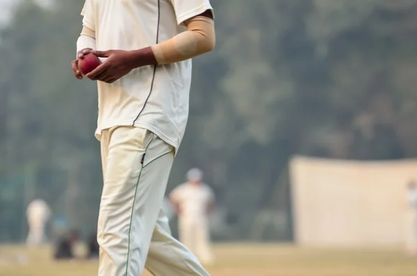 Cricket bowler in match