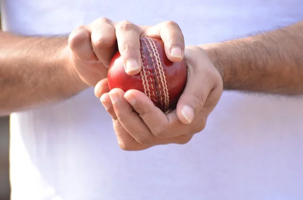 Cricket bowler holding ball