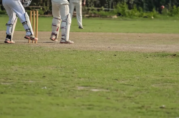 Boys are playing cricket