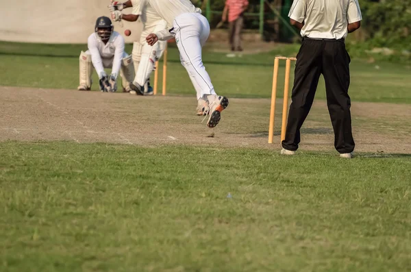 Boys Playing cricket