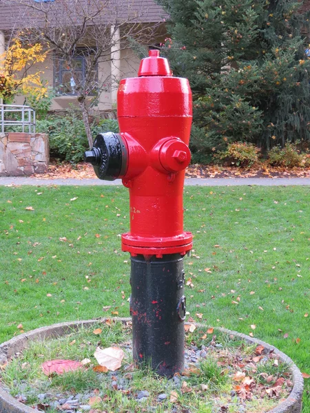 Canadian Fire Hydrant