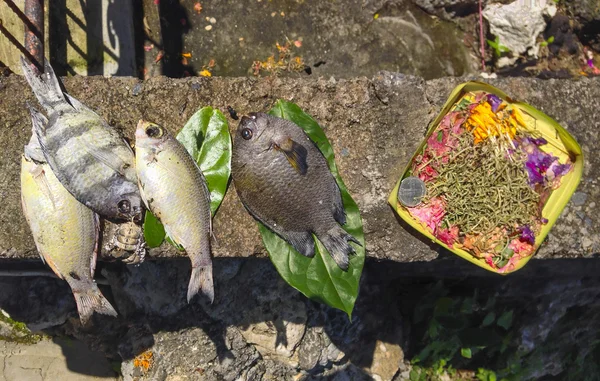 Fish in the sheet of bananas