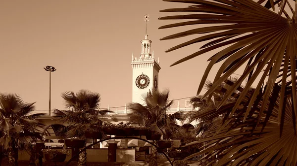 Clock tower at the railway station Sochi and palm trees in the city park