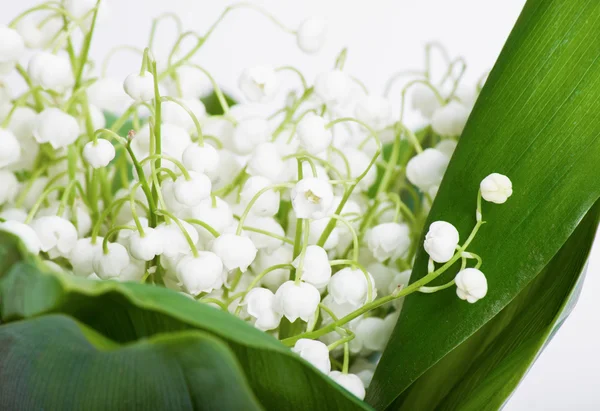 Bouquet of lilies of the valley
