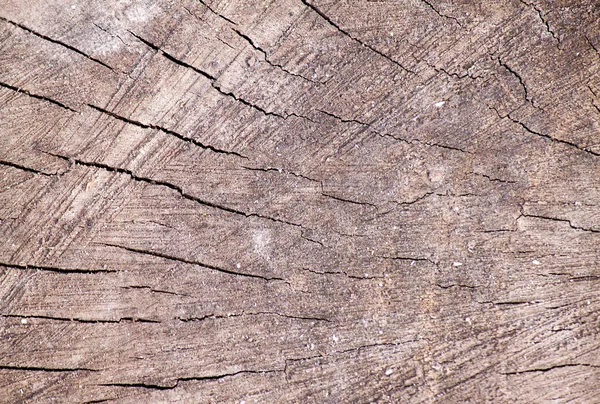 Wood texture for your background.