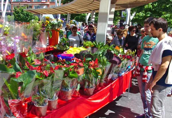 BILBAO, SPAIN, MAY 31, 2015: Flowers for sale at an outside flower market