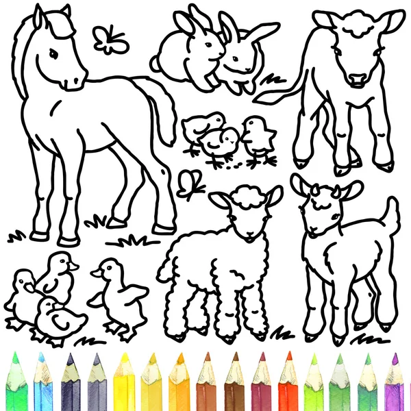 Foal. Rabbit. Calf. Chick. Gosling. Lamb. Goat. Coloring book Foal. Rabbit. Calf. Chick. Gosling. Lamb. Goat. Foal. Rabbit. Calf. Chick. Gosling. Lamb. Goat Outline drawing.  Animals baby farm