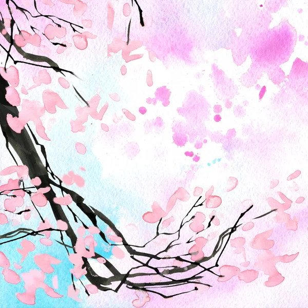 Cherry blossom branch.