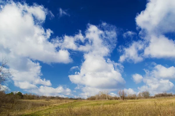 Landscape of the blue sky