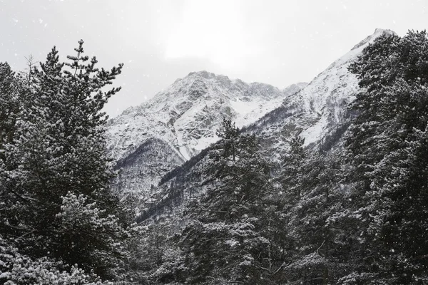 Snowy beautiful mountains