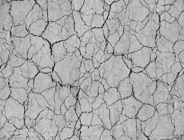 Dry ground texture