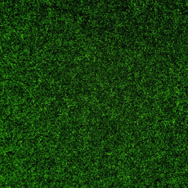 Green grass texture or background