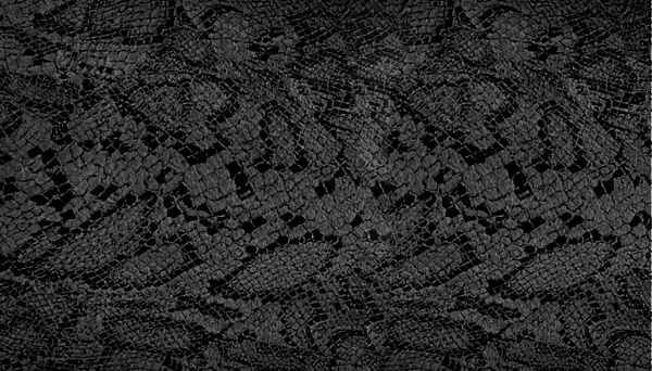 Snake skin texture