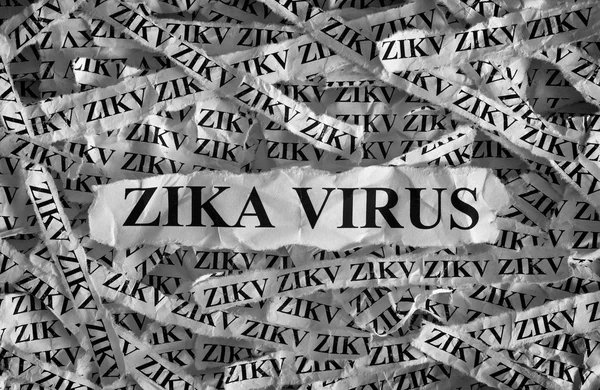 Zika virus. Black and White