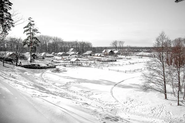 Snowy winter houses in the village