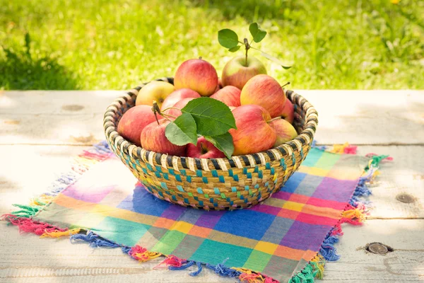Organic apples in basket, on white vintage wooden background, fresh homegrown produce