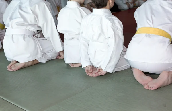 Group of children in kimono sitting on tatami on martial arts training seminar