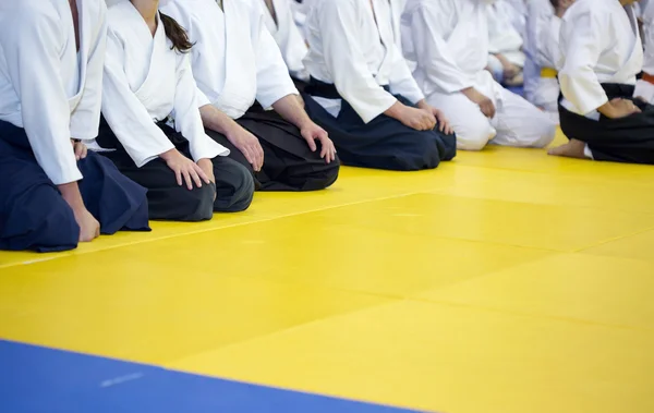 People in kimono and hakama sitting on tatami on martial arts training