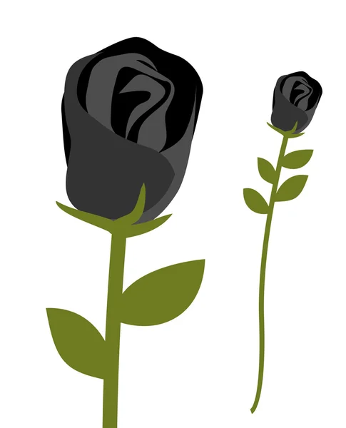Black rose. Dark scary flower. Rose petals with black symbol of