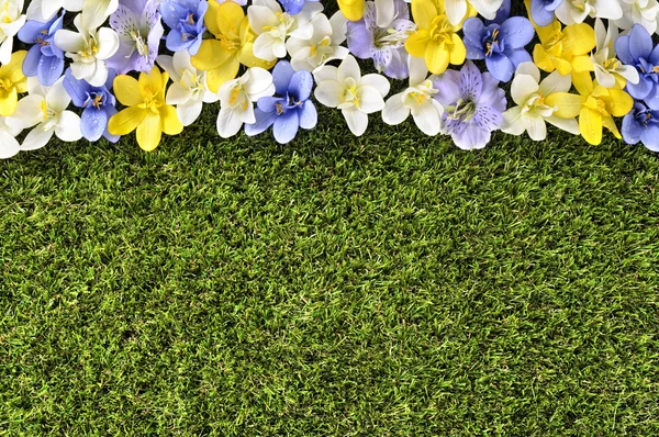 Spring flower border background, grass copy space