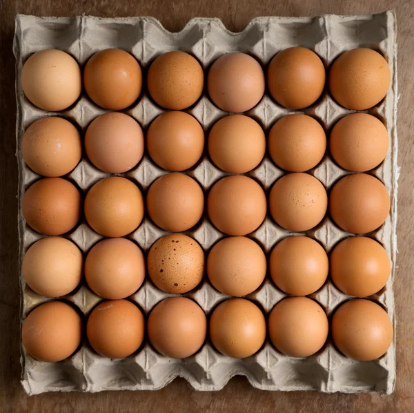 Fresh egg on paper tray