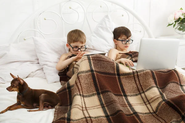 Two boys play at laptop and tablet with dog in bed