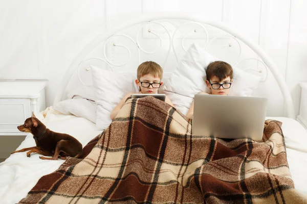 Two boys play at laptop and tablet with dog in bed