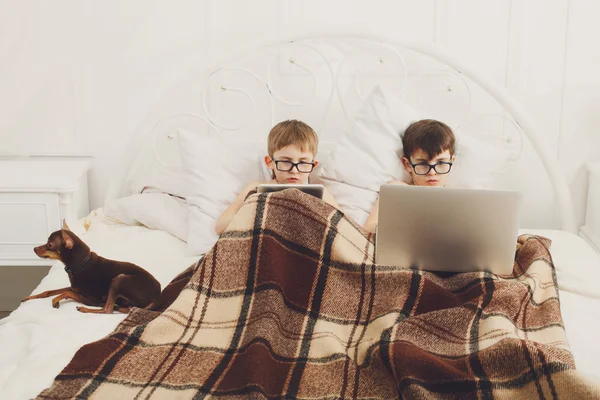 Two boys play at laptop and tablet with dog in bed