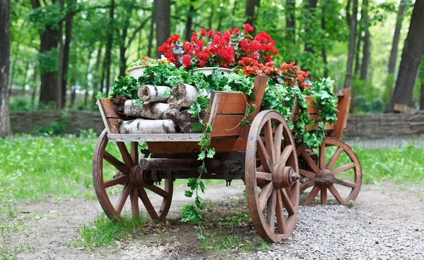 The cart with scarlet red geranium flowers in park