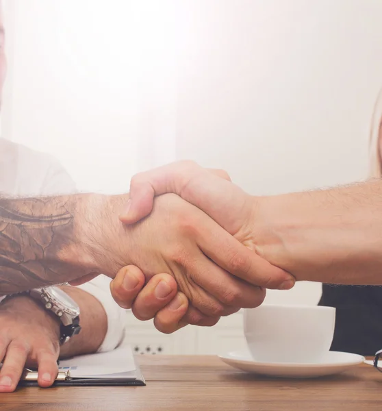 Business handshake at office meeting, contract conclusion and successful agreement
