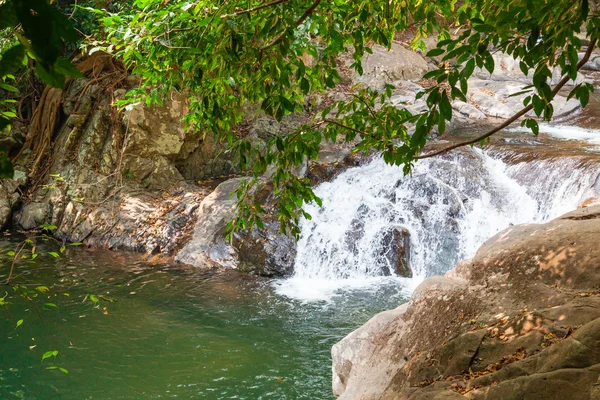 Landscape with waterfall in jungle