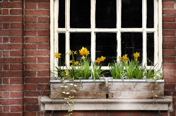 Detail of a wooden window and flowers box on brick wall. Manchester, England