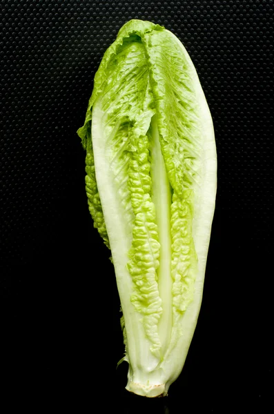 Romaine lettuce on black background.