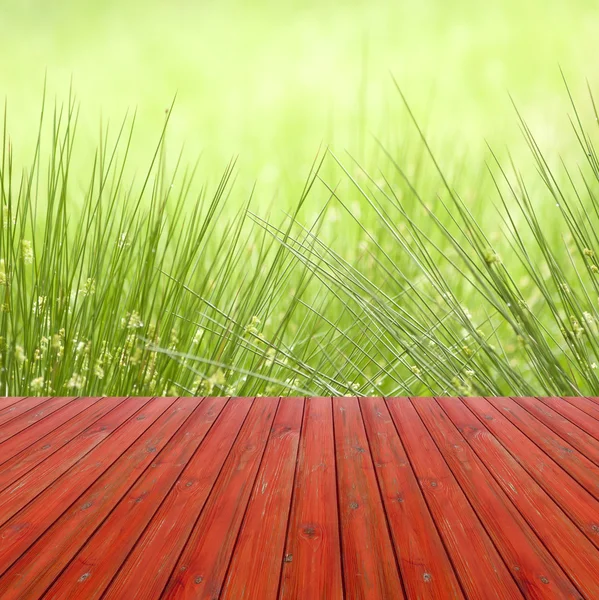 Empty perspective red wood over juncus effusus in rain and sunlight with bokeh background, for product display montage.  UK, summer.